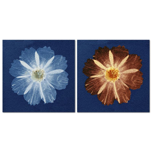 Blue & Red Cosmo Wall Art - Diptych