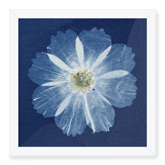 Blue Cosmo Fine Art Print & Frame