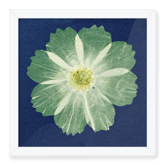 Green Cosmo Fine Art Print & Frame