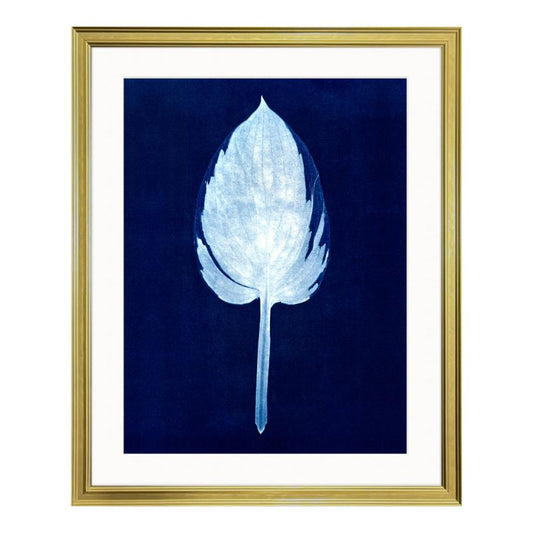 Hosta Leaf I Fine Art Print & Frame