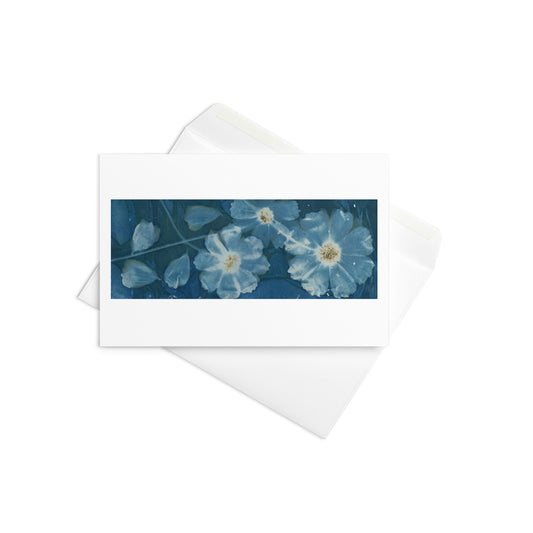 Three Cosmos Greeting card