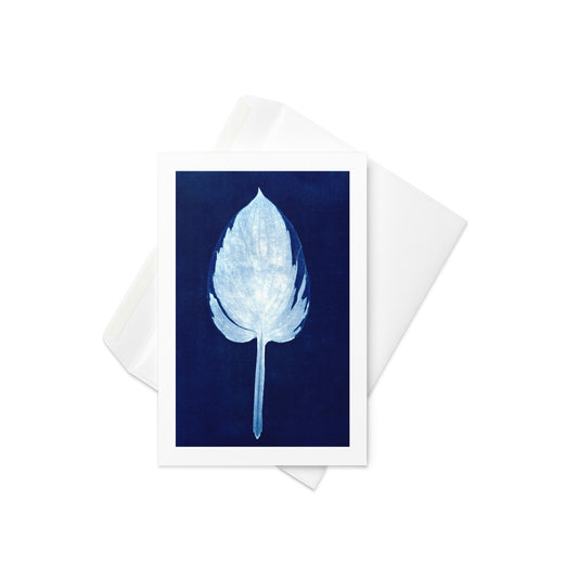 Hosta Leaf Greeting Card