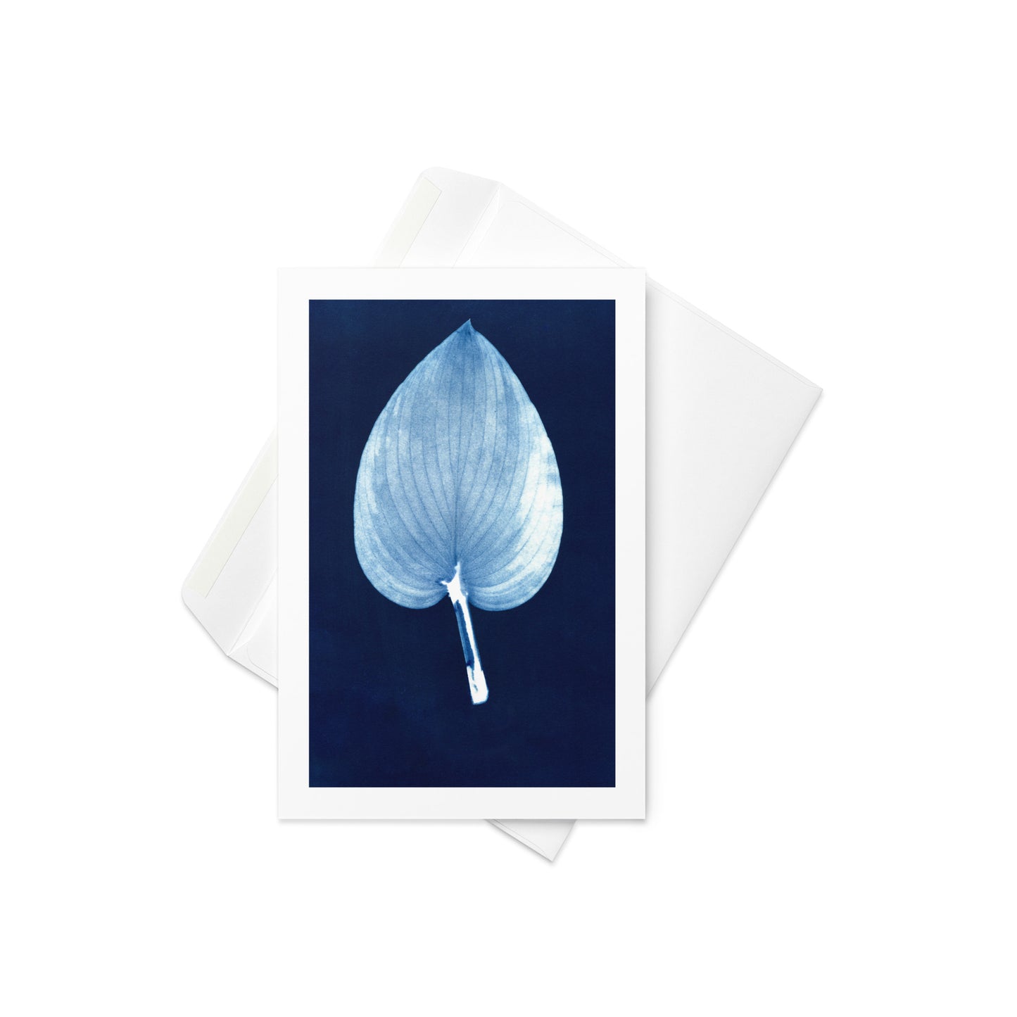 Hosta Leaf II Greeting Card